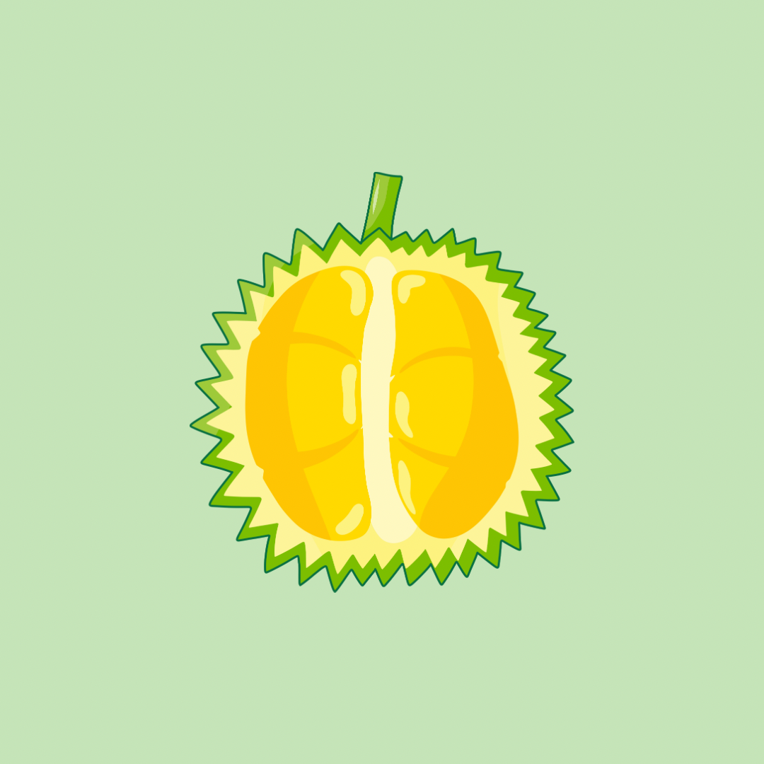 Mao Shan Wang Durian Jerky