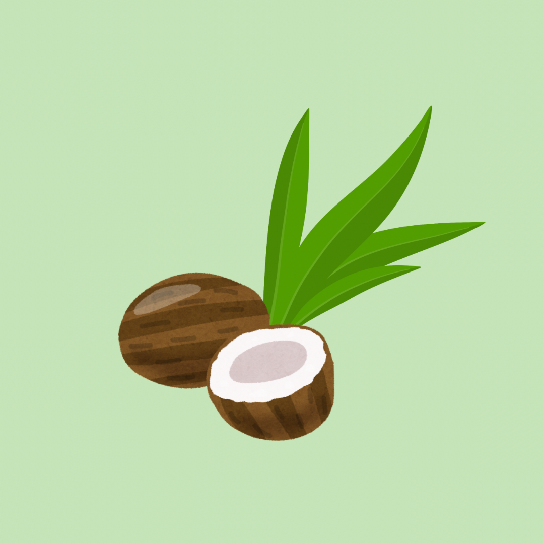 Pandan Coconut Jerky