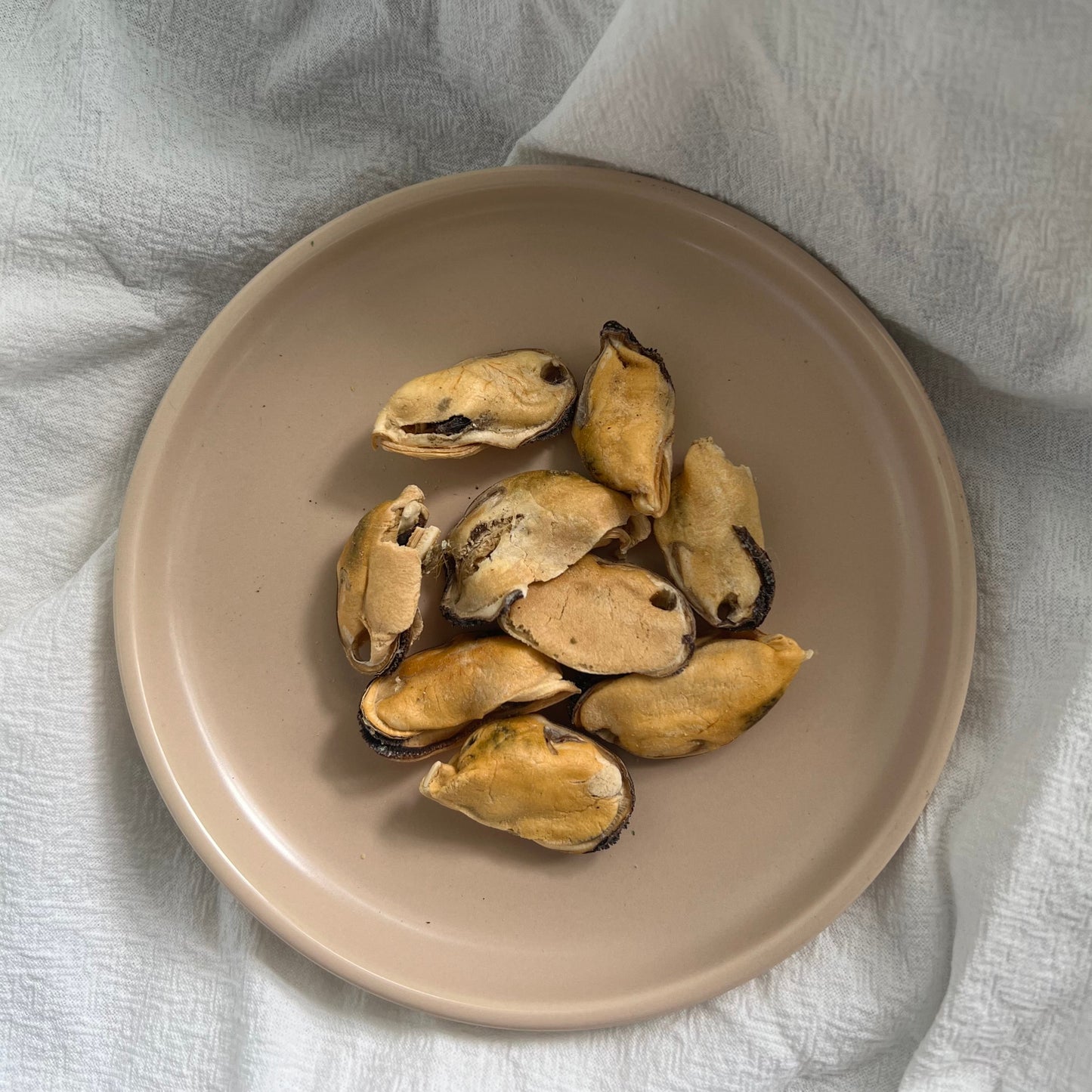 Blue Lipped Mussels