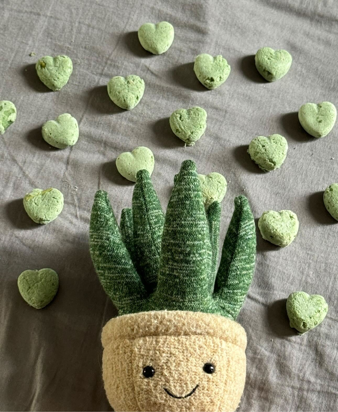 Pandan Coconut Hearts